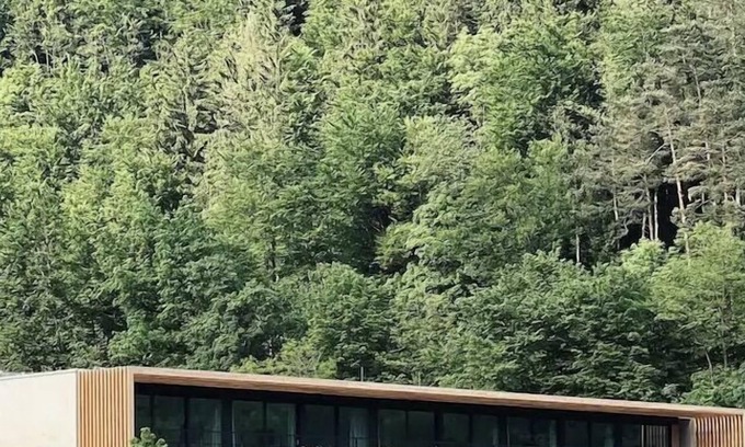 Thal Cama Y Desayuno | Waldcafe Thalersee
