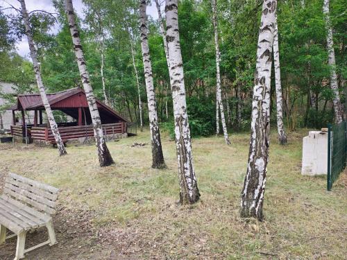 Brody Otro | Waldcamp Hundeparadies