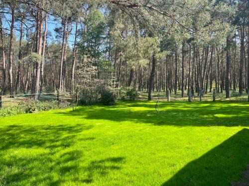 Briesensee Casa | Waldhaus am See