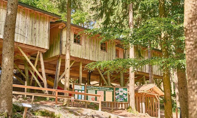 Kopfing im Innkreis Casa | Waldzimmer - Baumhotel