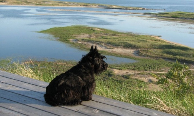 Truro Cabaña | A pie de la Bahía + Hilltop Bahía, Puerto, Marsh Views!
