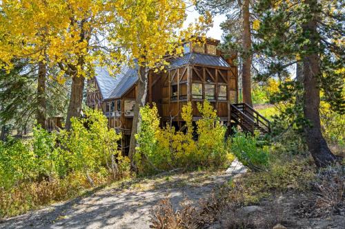 Bear Valley Casa | Walk to the Lake - Ski in out Amazing 5 Bdrm - VH#343