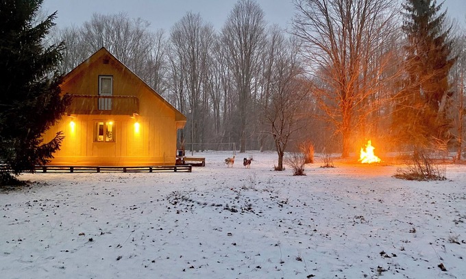 Benzonia Cabina | Walking distance to Betsie River & 10 minutes to Lake Michigan & Crystal Mnt!