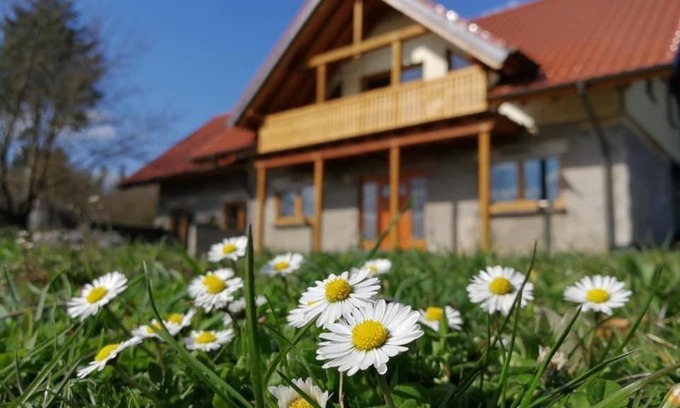 Kruft Apartamento | Wandertraum Johann - FeWo Eifel