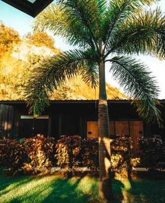 Las Escobas del Venado Hotel | Wao Jungle Venao