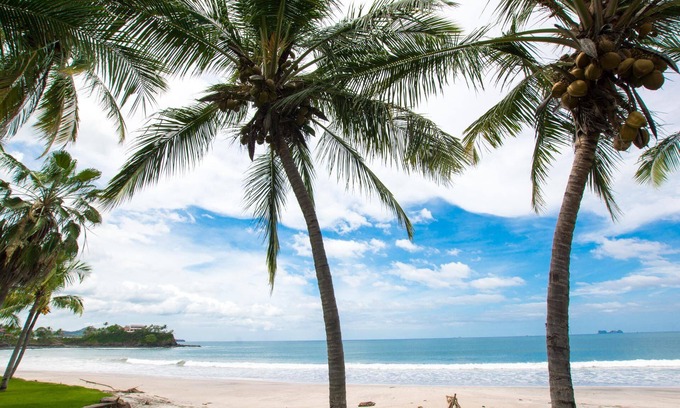 Playa Flamingo Condominio | Warm Interiors and Orange Hues on Ground Floor in Front of Beach