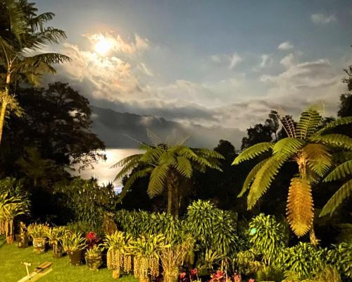 Candikuning Hotel | Warung Rekreasi Bedugul