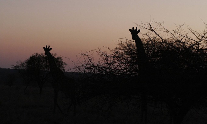 Waterberg Cabina | Waterberg Travelcation - Escapada natural