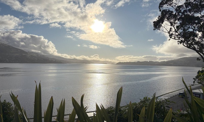 Dunedin Apartamento | Waterfront 2-bedroom apartment with AC in Dunedin