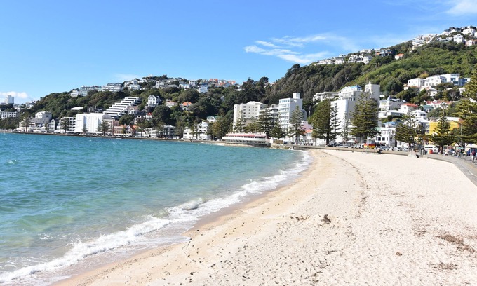 Oriental Bay Casa | Excelente ubicación, la casa de playa está justo enfrente de la playa