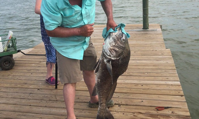 Port Lavaca Cabina | Waterfront Cabin with Amazing Private Fishing Pier and 6 Acres on the bay