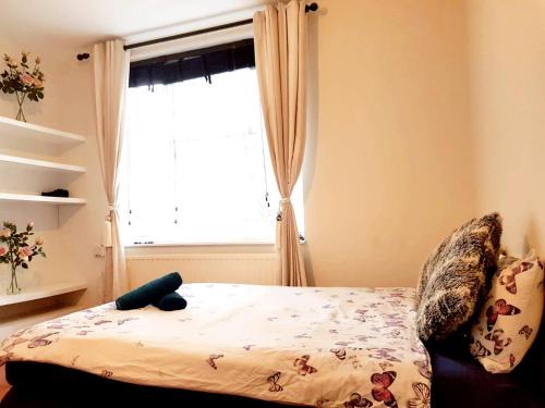 Waterloo Casa | Waterloo Rooms