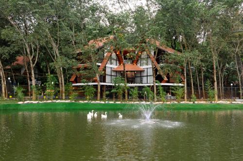Mananthavady Casa | Wayanad Vista Palm View Villas