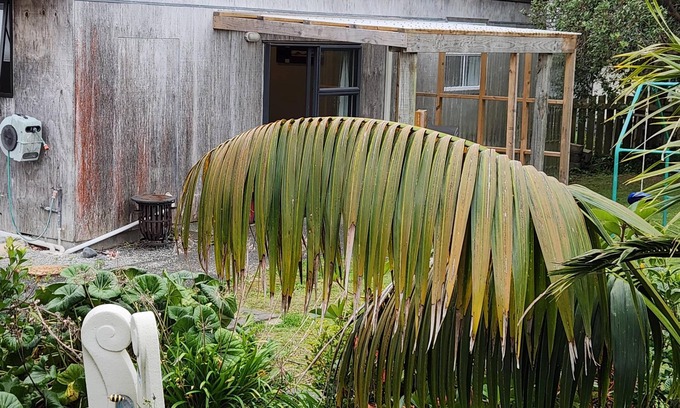 Onerahi Cabina | We are 10 minutes from the CBD. 3 minutes walk from the airport.