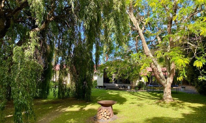 Matakana Casa | Weeping Willow