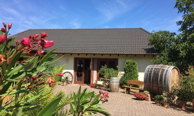 Hattenheim Apartamento | Weingut Hans Bausch