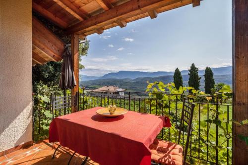 Caldaro Sulla Strada del Vino Apartamento | Weingut Lieselehof Apt Rosengarten