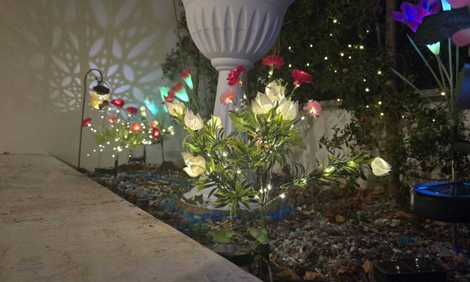 Zona XXXIV Casal Palocco Apartamento | WELCOME LOVE ROME - apartment surrounded by greenery