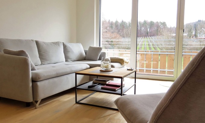 Uhldingen-Muehlhofen Apartamento | Welcome to your modern and diversely equipped vacation home in a