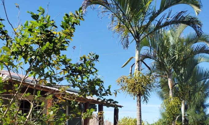 Lacovia Cabina | Welcome to your Jamaican Cabin in the Mountains