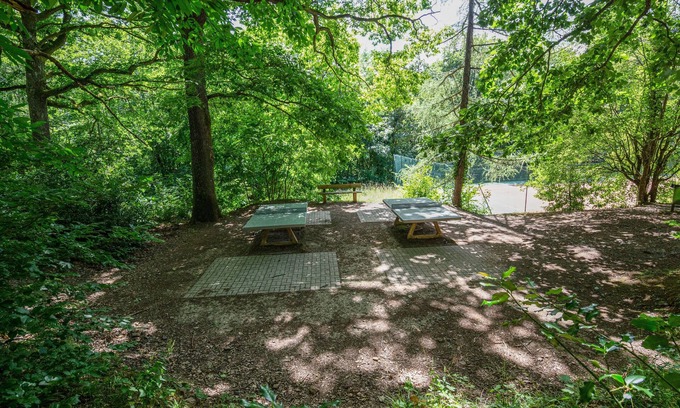 Klingenthal Apartamento | Wellholidays 19 - appartement balnéo et terrasse piscine