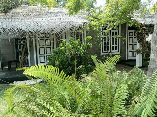 Kandakuliya Cama Y Desayuno | Werala Beach Resort