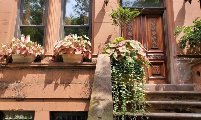 Central Park North Cama Y Desayuno | West 119th Guest Suites