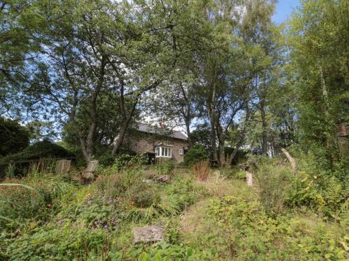 Greenhaugh Casa | West Burnbank