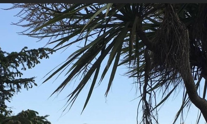 Polruan Casa | West Winds Bed & Breakfast in Polruan with river and ocean views