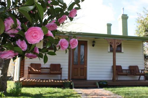 Westbury Cama Y Desayuno | Westbury Gingerbread Cottages