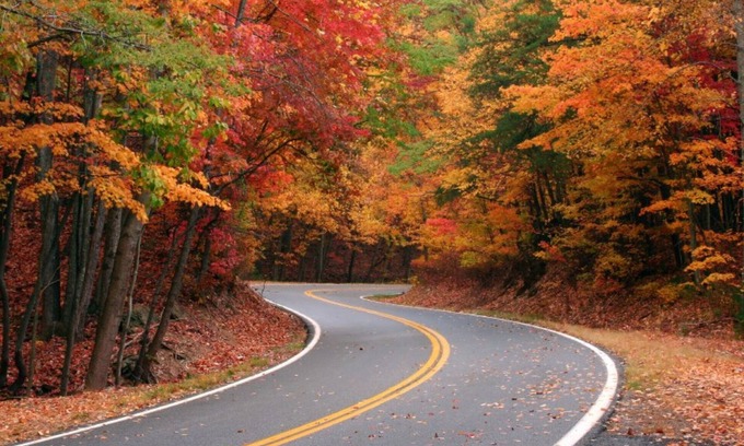 Gatlinburg Complejo | 5 estrellas Westgate Smokey MTN Resort. Belleza de otoño en los Smokeys. 10 / 19-10 / 26/19.