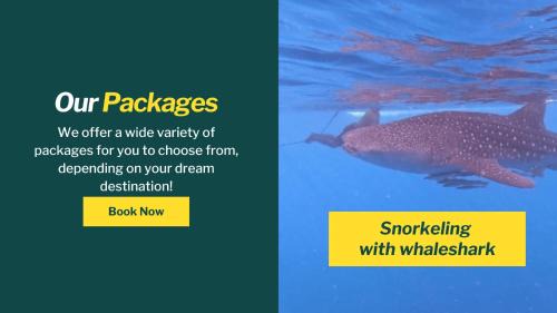 Sumbawa Besar Otro | Whale shark Sumbawa Tour