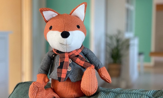 Kisslegg Apartamento | ... where fox and hare are happy?