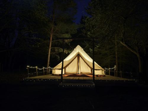 Kemlitz Otro | Whispering Pines
