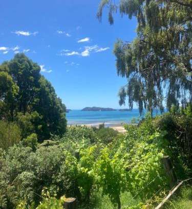 Ngaio Bay Casa | Whitebait Point