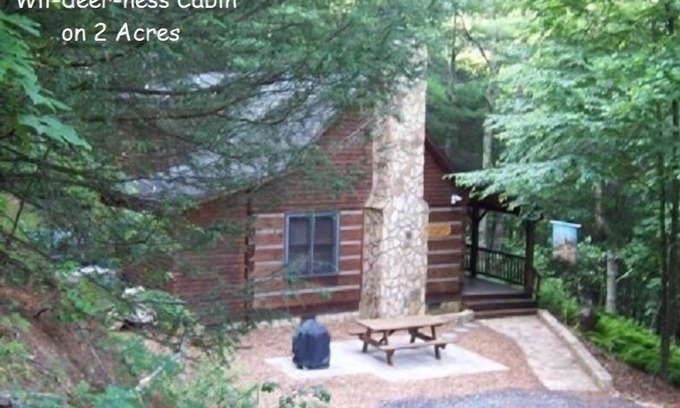 Lansing Cabina | WIL-DEER-NESS cabina- Aislado * Firepit * Bañera de hidromasaje * Río * hamaca * Wi-Fi * Se admiten perros