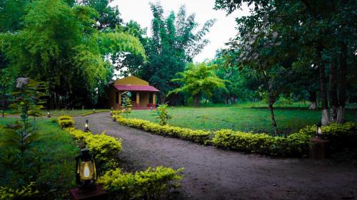 Tala Complejo | Wild Haven Resort Bandhavgarh