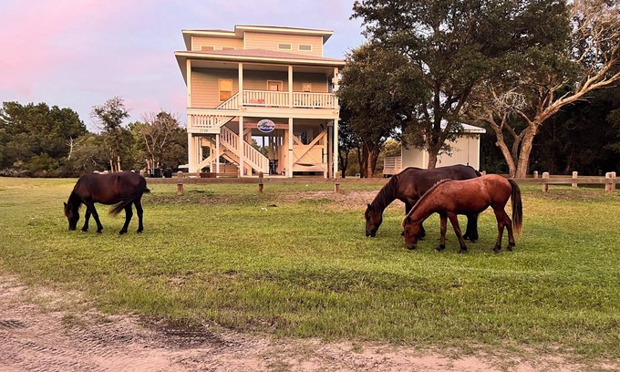 Carova Beach Casa | Wild Horses, Wilder Views: Stunning Carova Canal Front Home