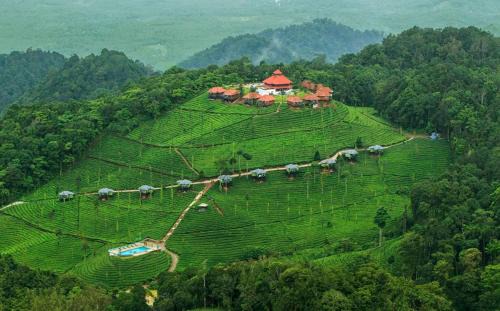 Devala Complejo | Wild Planet Jungle Resort