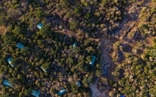 Palatupana Otro | Wild Trails Yala by Mili
