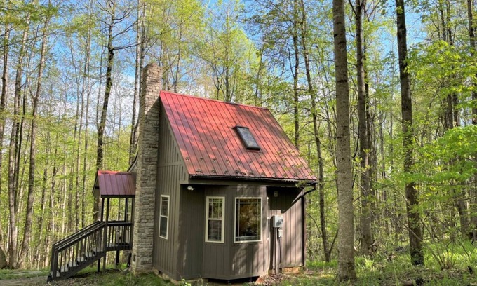 Meadows Of Dan Cabina | Wildcat Forest - a tiny cabin with lots of charm, by Buffalo Mountain Getaway