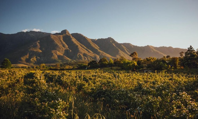 Swellendam Casa | Wildebraam Berry Estate
