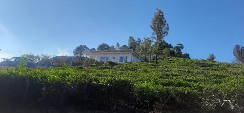 Kotagiri Casa | Wilderness Vila