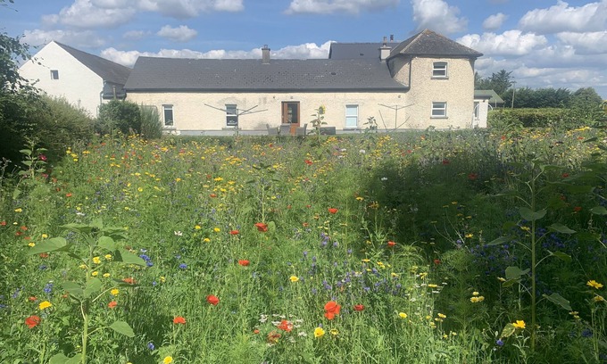 South Tipperary Cabaña | Wildflower Farm Cottage