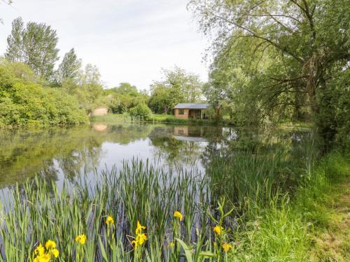 Frankton Casa | Willow