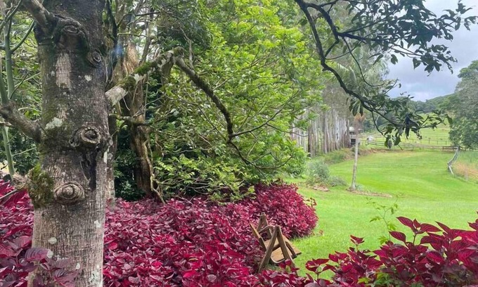 Rosebank Otro | Windaboo @ Rosebank Byron Hinterland Estate