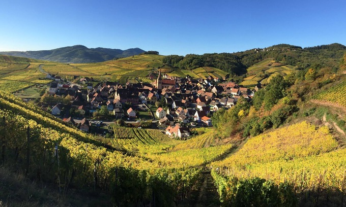Niedermorschwihr Casa | Winehouse 1751 cerca de Colmar, a una hora de Alemania y Suiza.