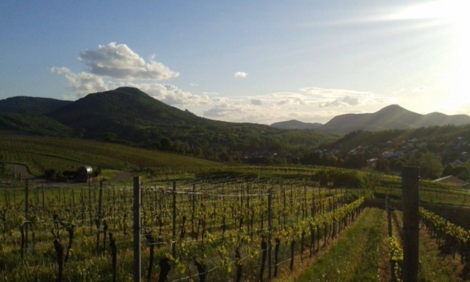 Frankweiler Casa | Winzerhaus calle Southern Wine