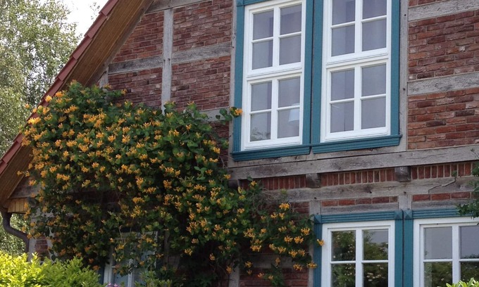 Ruterberg Apartamento | Wohlfühlwohnung mit Wintergarten und Terrasse