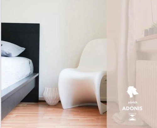 Alt-Wiedikon Apartamento | Wohnen in Wiedikon Adonis